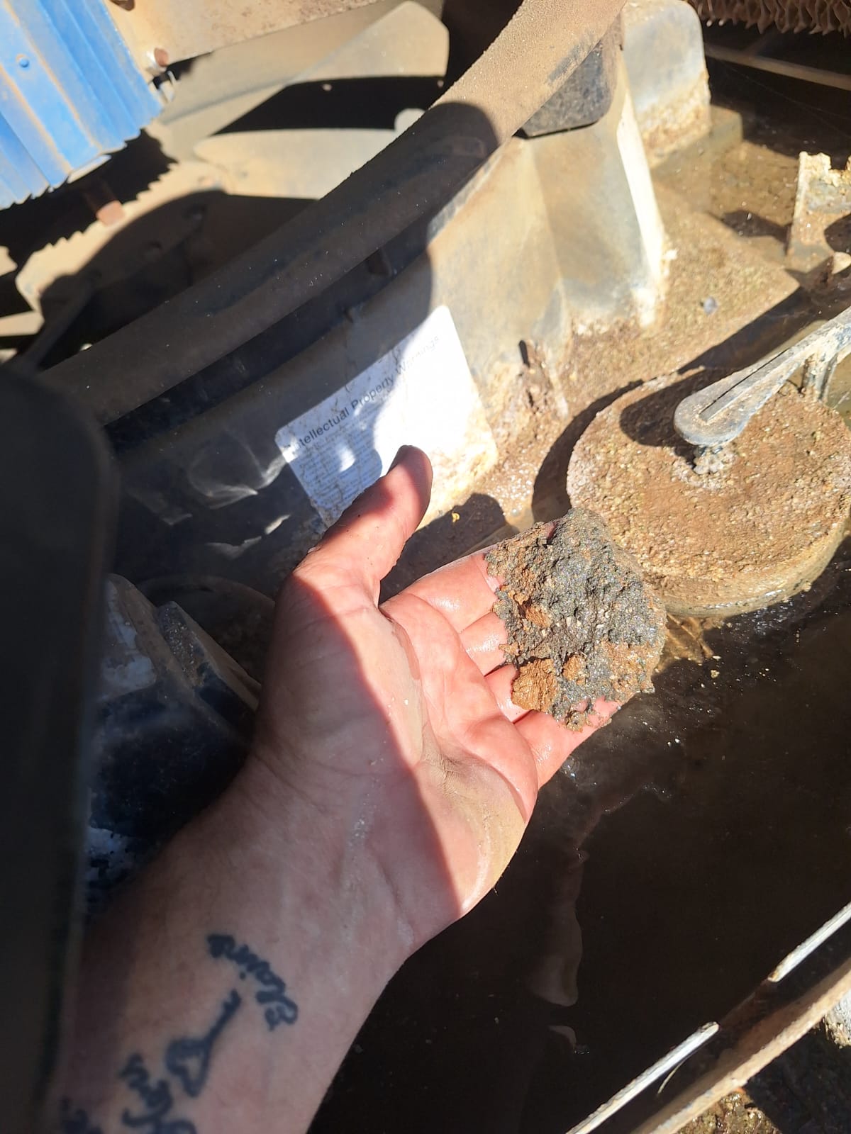 WhatsApp Image 2024 11 27 at 00.48.15 86ff4e74