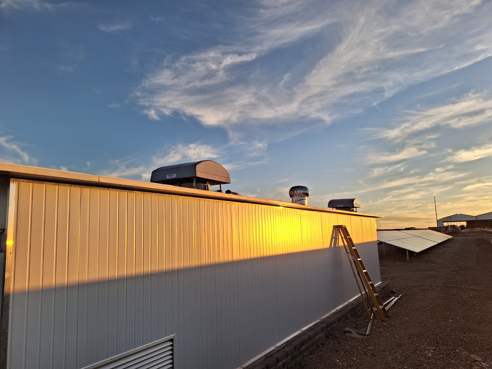 WhatsApp Image 2024 11 27 at 00.48.15 fe3eadb7