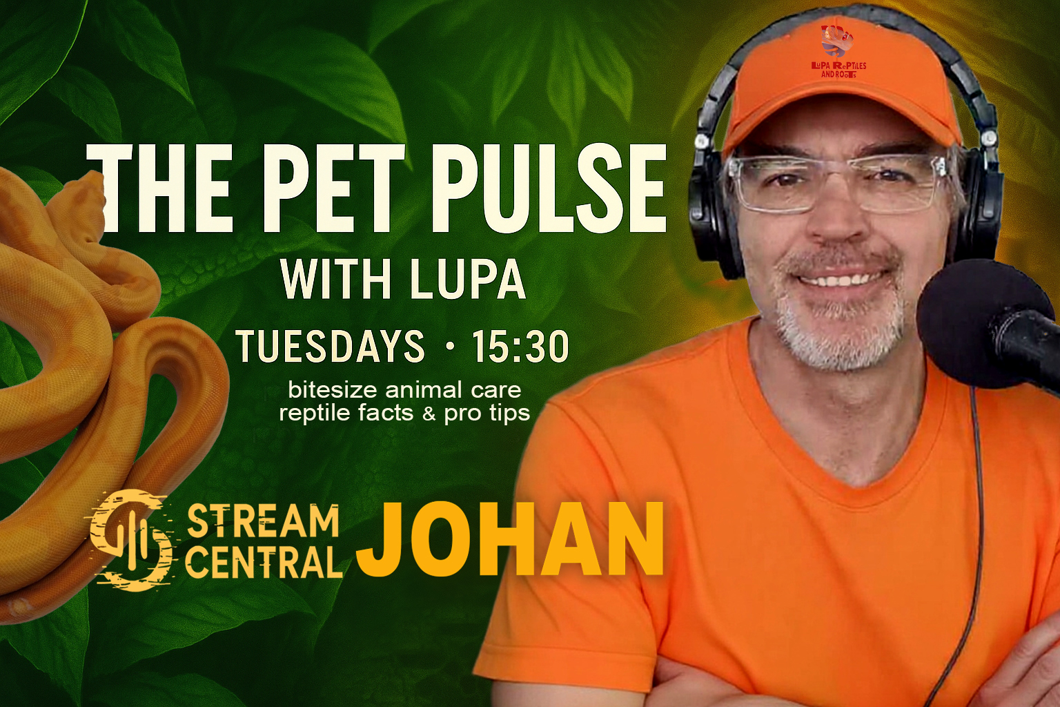 588092536 1829550931330007 1312960156168592438 n